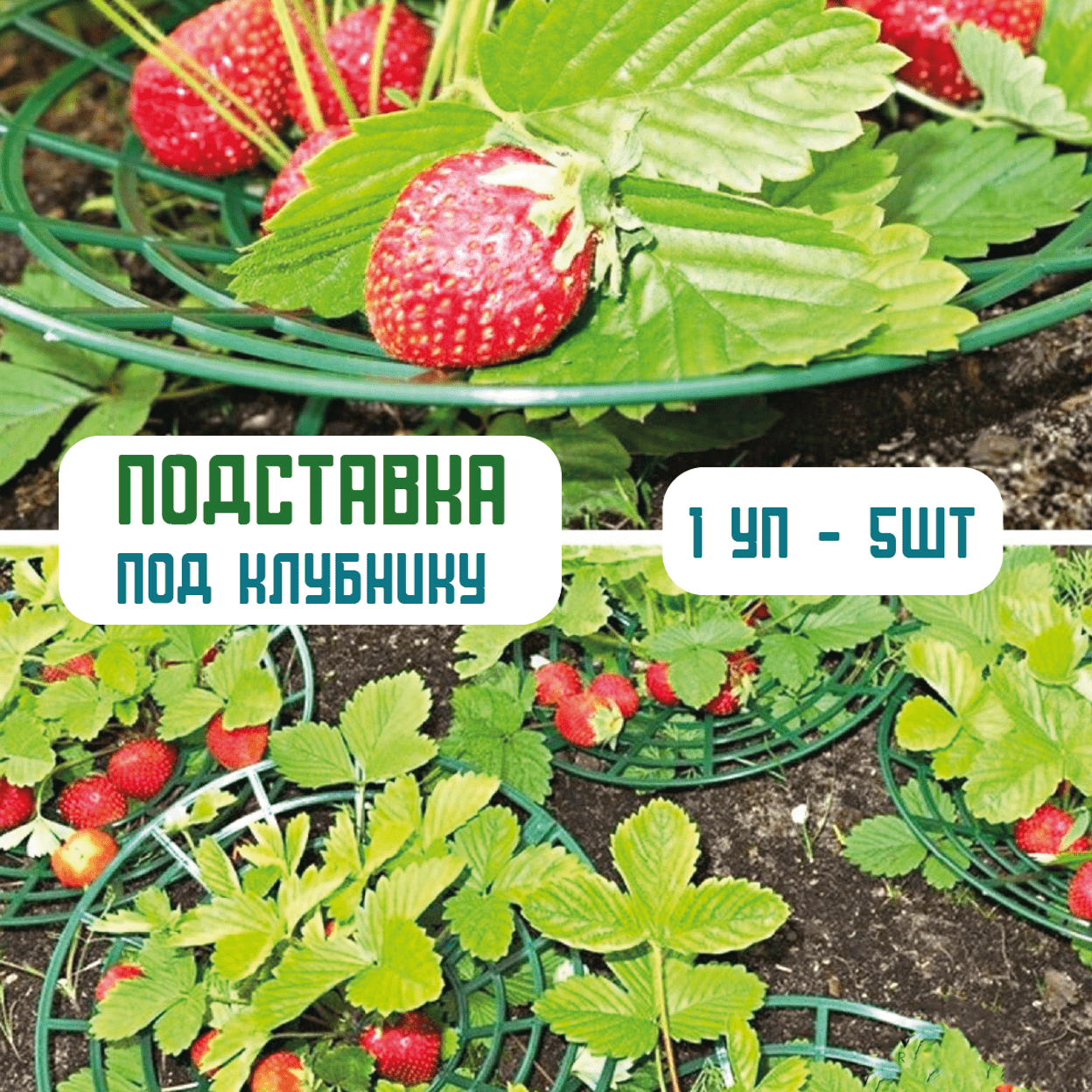 Купить Подставка под клубнику