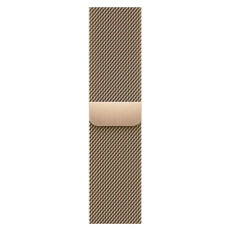 Купить Apple Watch Series 9 41mm (Titanium)