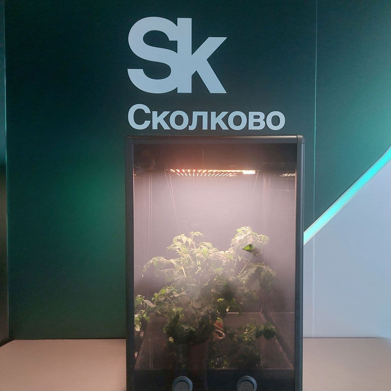 Купить Умная цифровая теплица для кухни Greenbar XX2