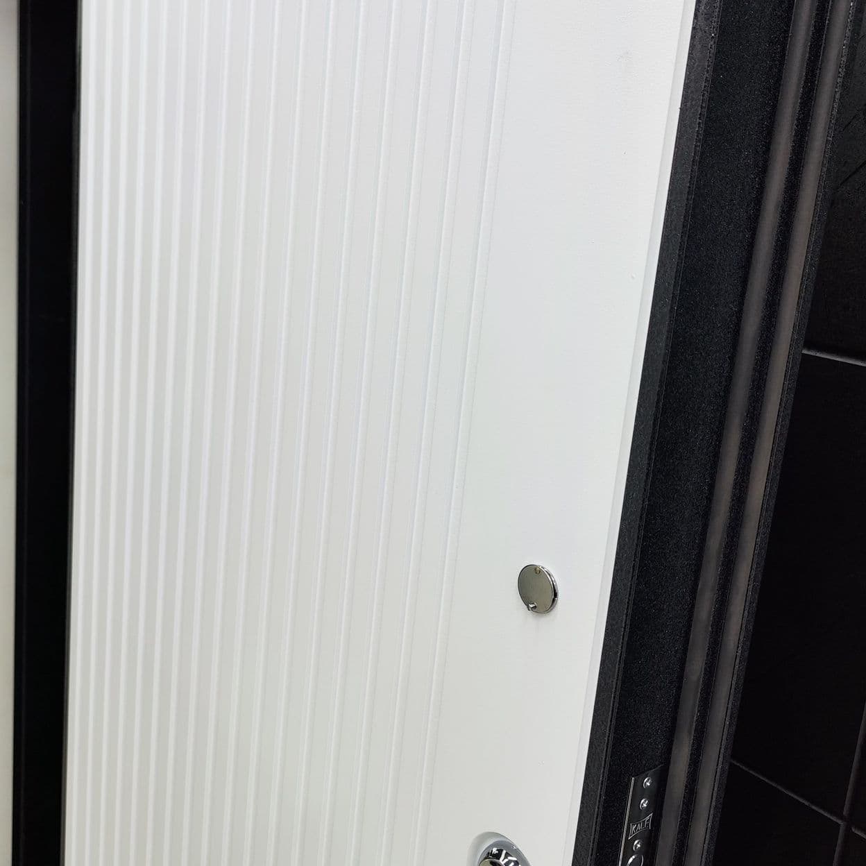 Купить Дверь входная с NANO утеплением "ЕО-09-1"