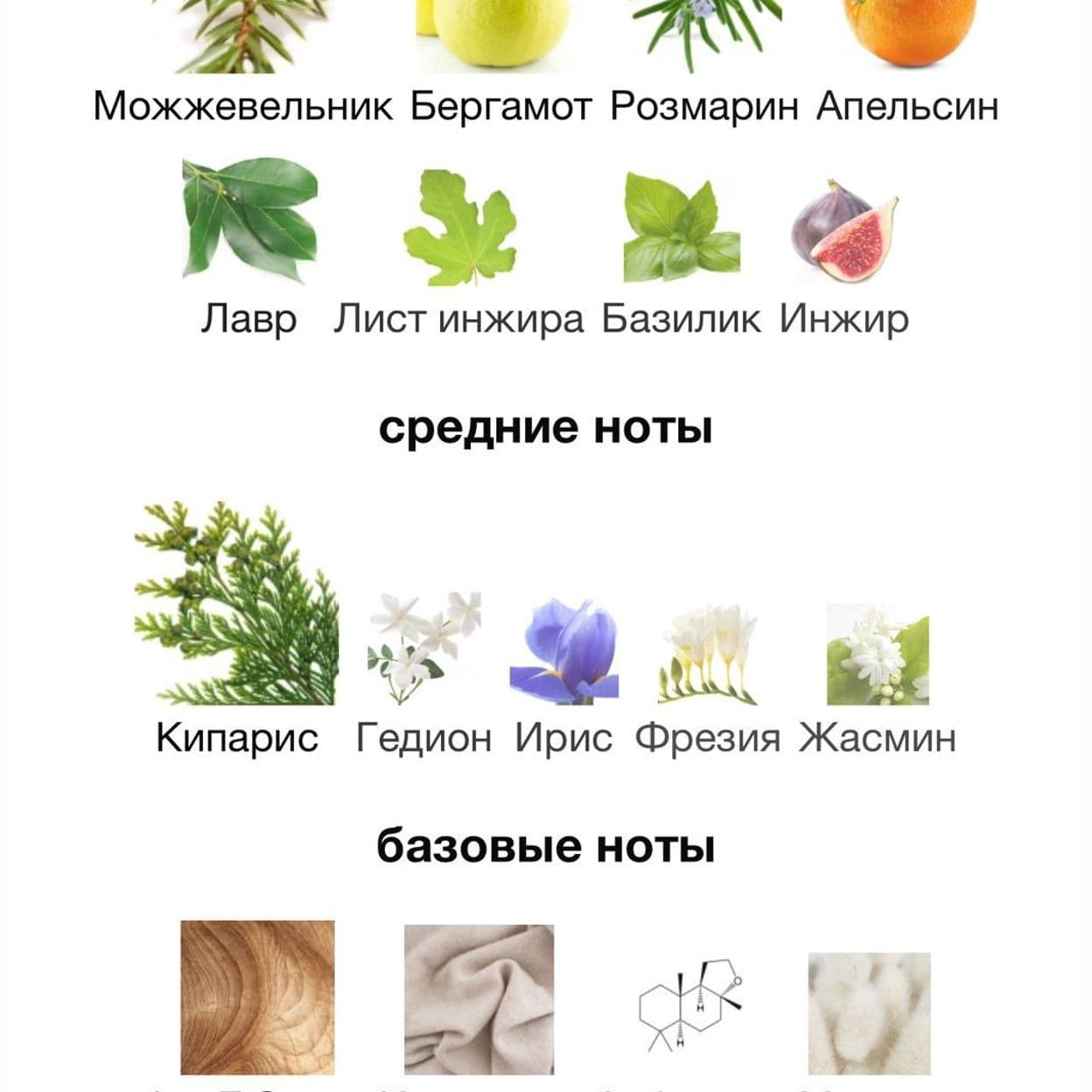 Купить ESCENTRIC MOLECULES 05