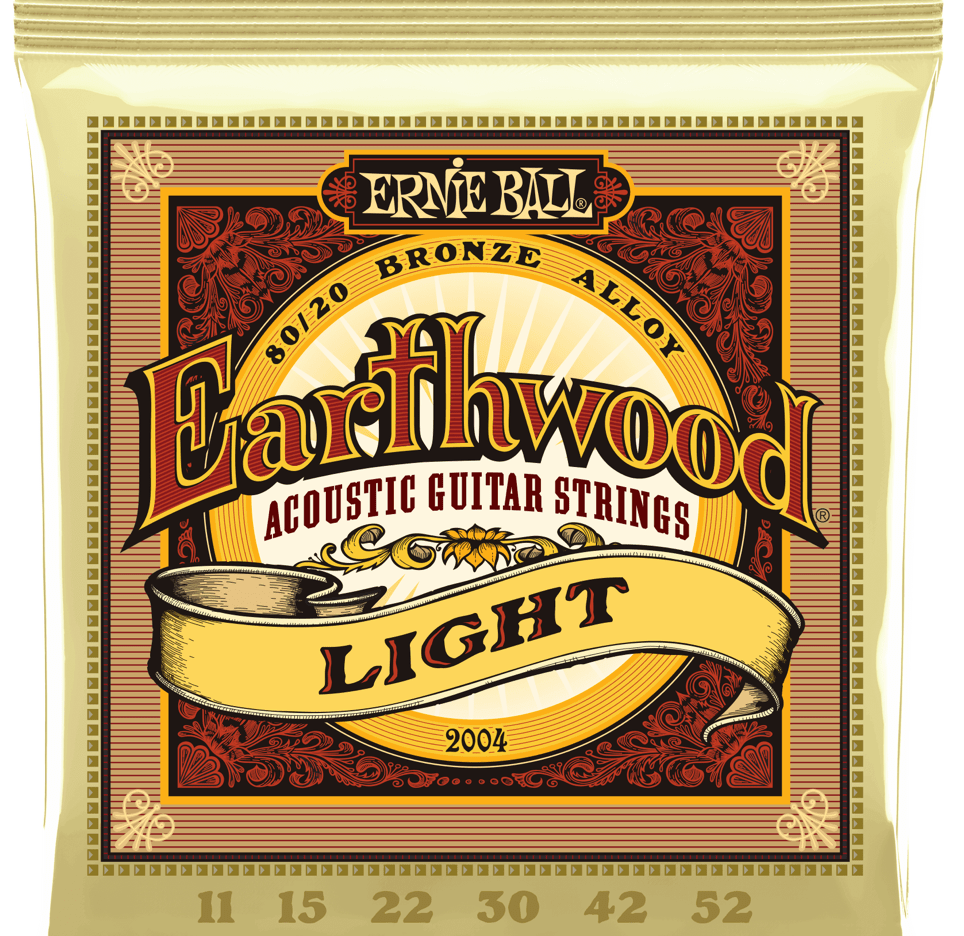 Купить Ernie Ball 2004