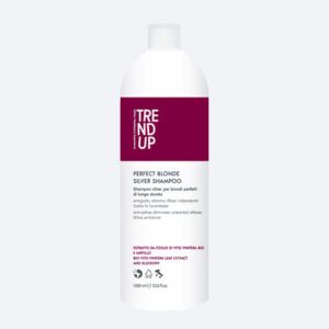 Купить Шампунь для светлых волос Trend Up Perfect Blonde Silver Shampoo, 1000 мл