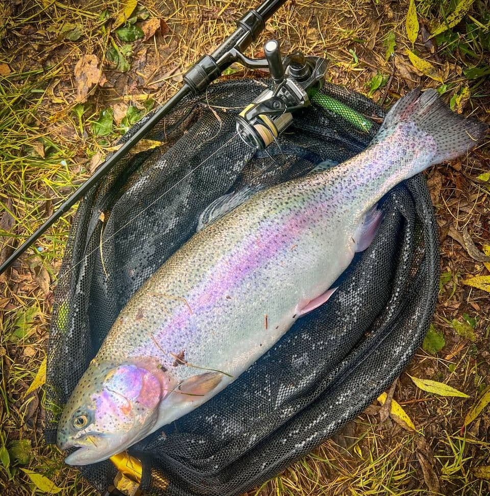 Купить Спиннинг TeleTen 2.0 NanoSpinMsk 125см 0.1-1.5гр.  В наличие !