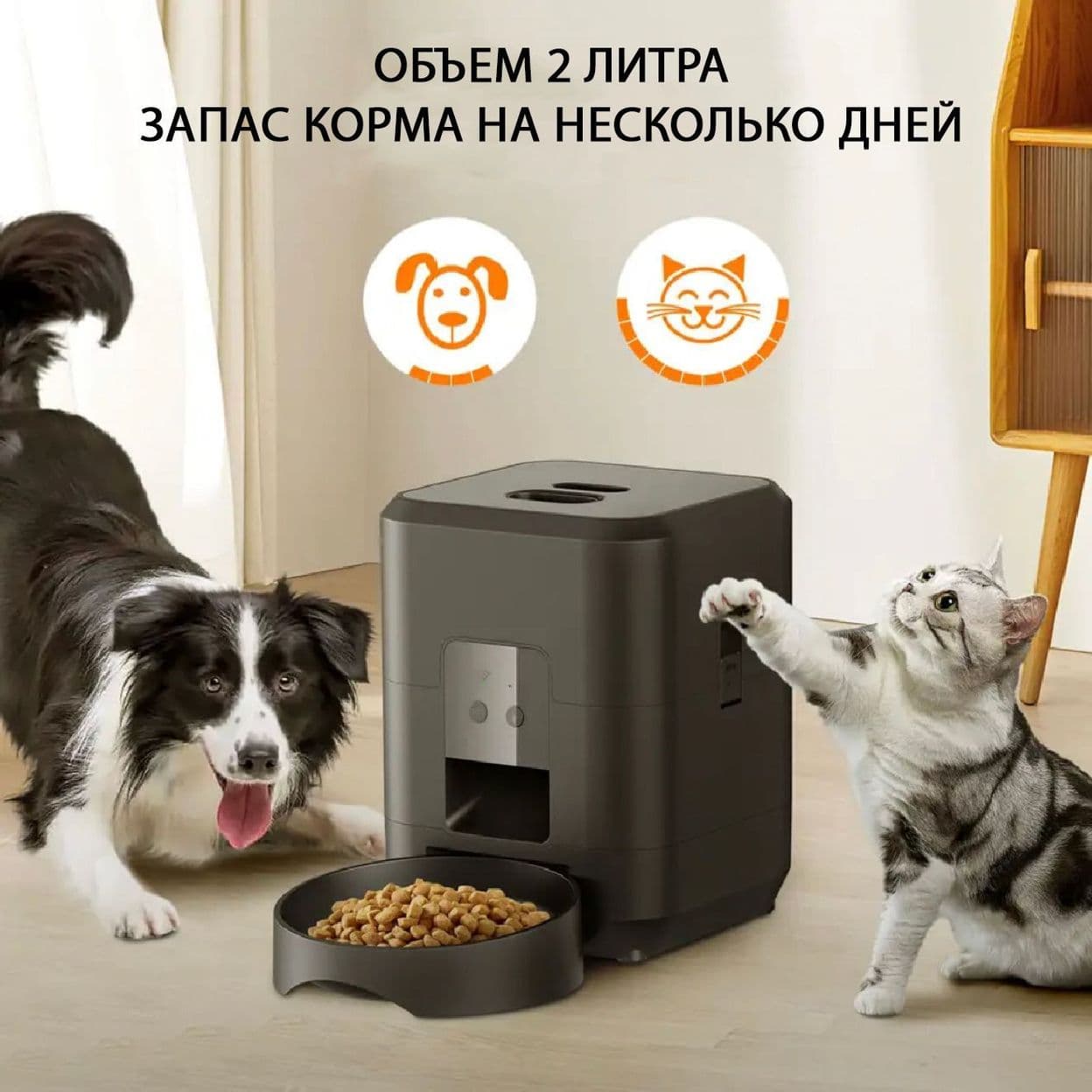 Купить Автокормушка WiFi mini 2L (черная)