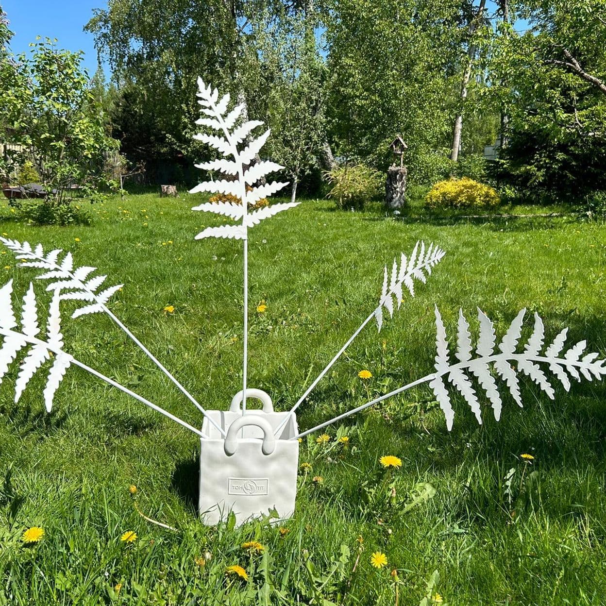 Купить Папоротник