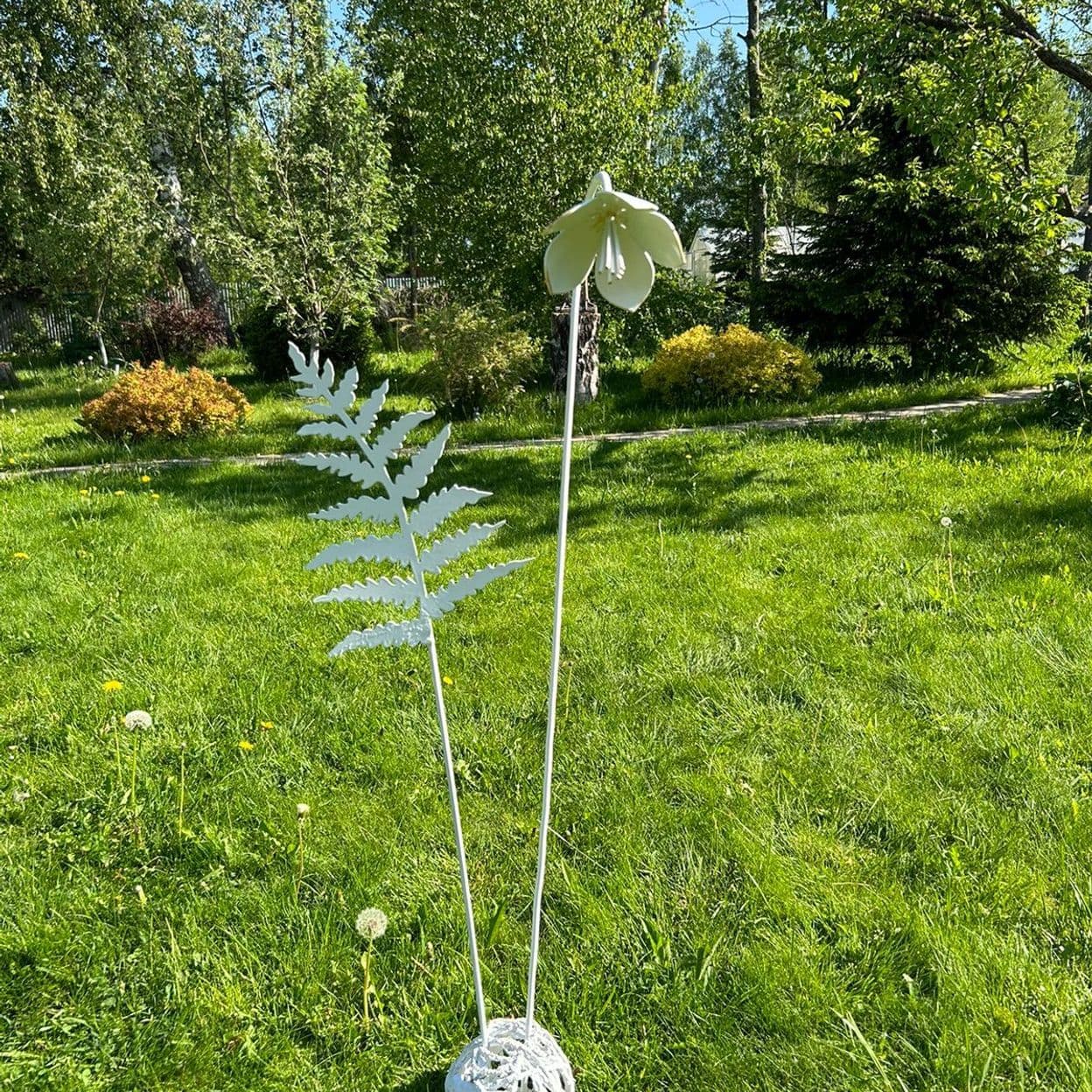 Купить Папоротник
