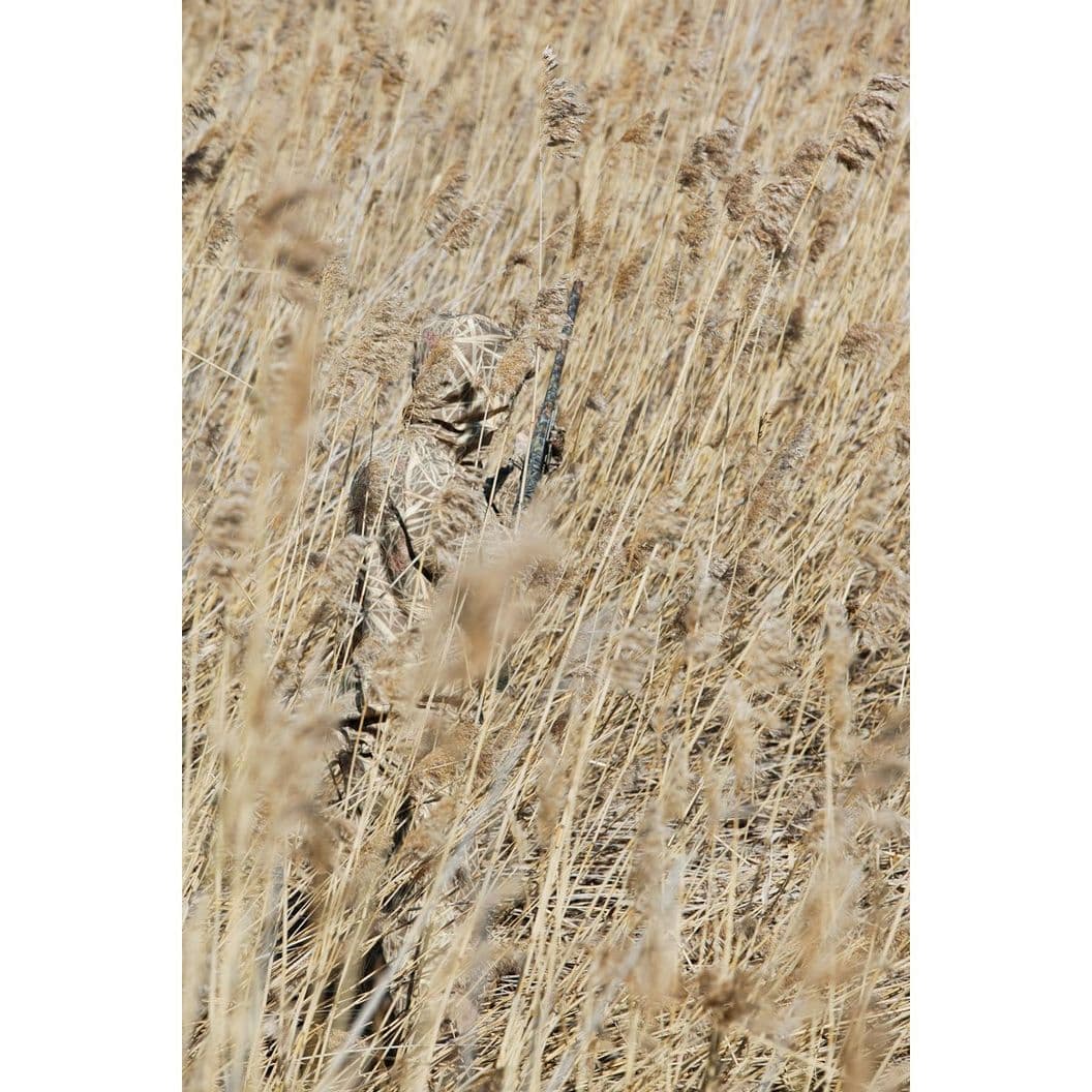Купить Костюм JahtiJakt Archie Reed Camo антимоскитный (камуфляж камыш)