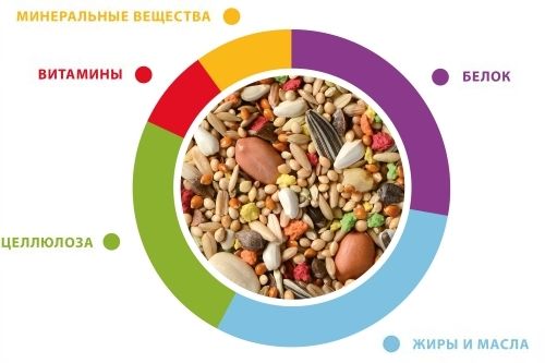 Купить Padovan Корм GRANDMIX 2 КГ Pappagalli для крупных попугаев
