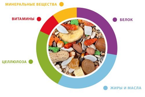 Купить Padovan Корм GRANDMIX 2 КГ Pappagalli для крупных попугаев