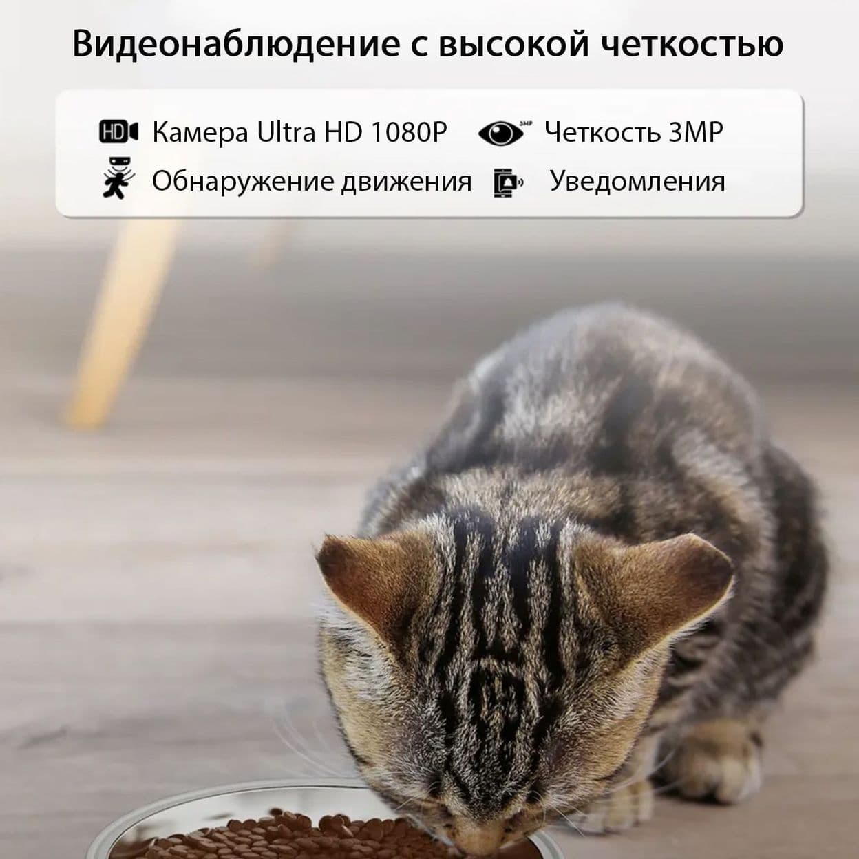Купить Автокормушка 5G с камерой 4L