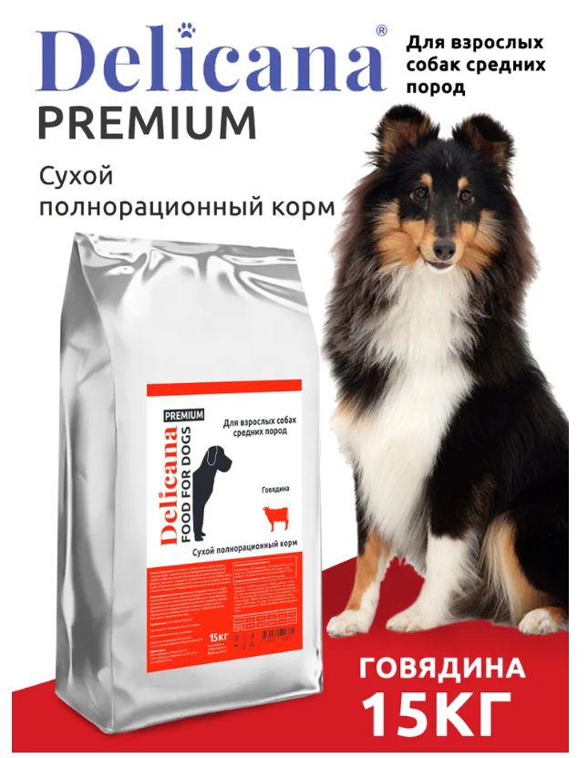 Купить Delicana сухой корм для взрослых собак средних пород с