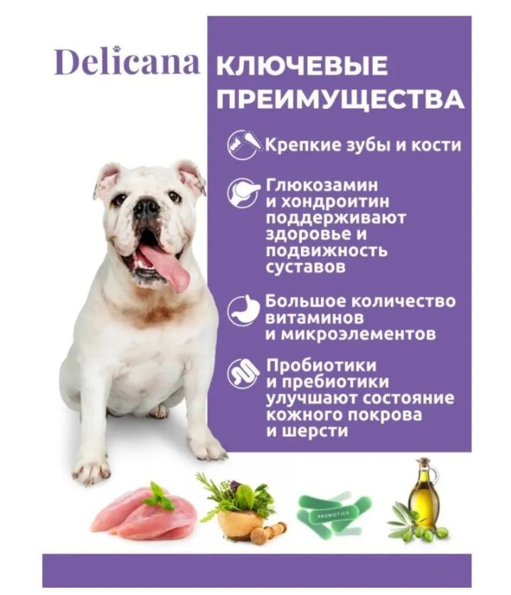 Купить Delicana сухой корм для взрослых собак средних пород с