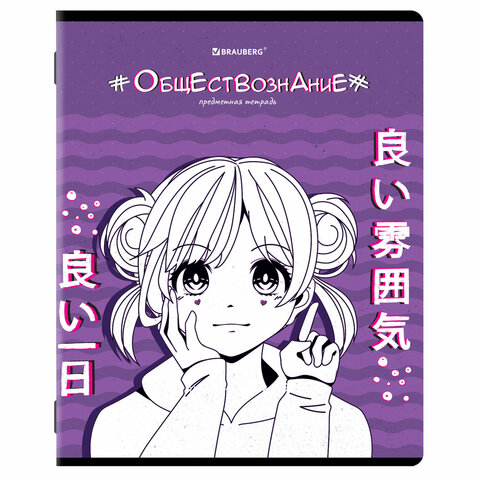 Купить Тетради предметные, КОМПЛЕКТ 12 ПРЕДМЕТОВ, 48 л., "ANIME"