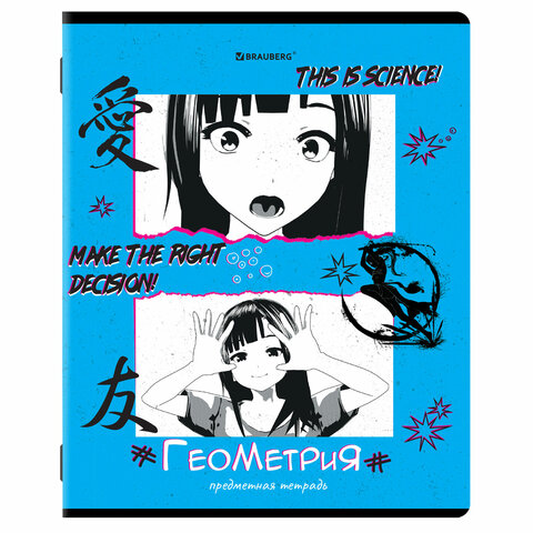 Купить Тетради предметные, КОМПЛЕКТ 12 ПРЕДМЕТОВ, 48 л., "ANIME"