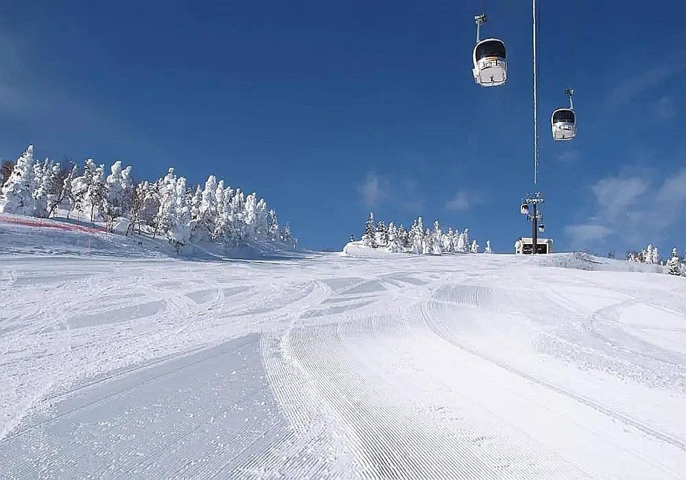 Купить УНИКАЛЬНЫЙ ЙОГА-ТУР В ЯПОНИЮ, 24 ФЕВРАЛЯ - 9 МАРТА 2025