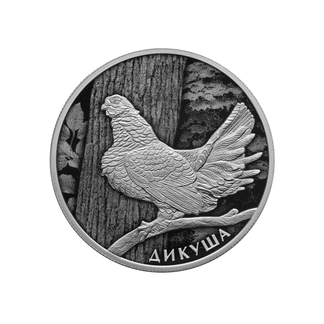 Купить Дикуша / 5110-0185