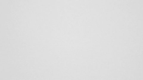 Купить Мы решили немного рассказать