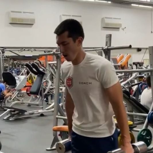 Купить Ideal Sports Home