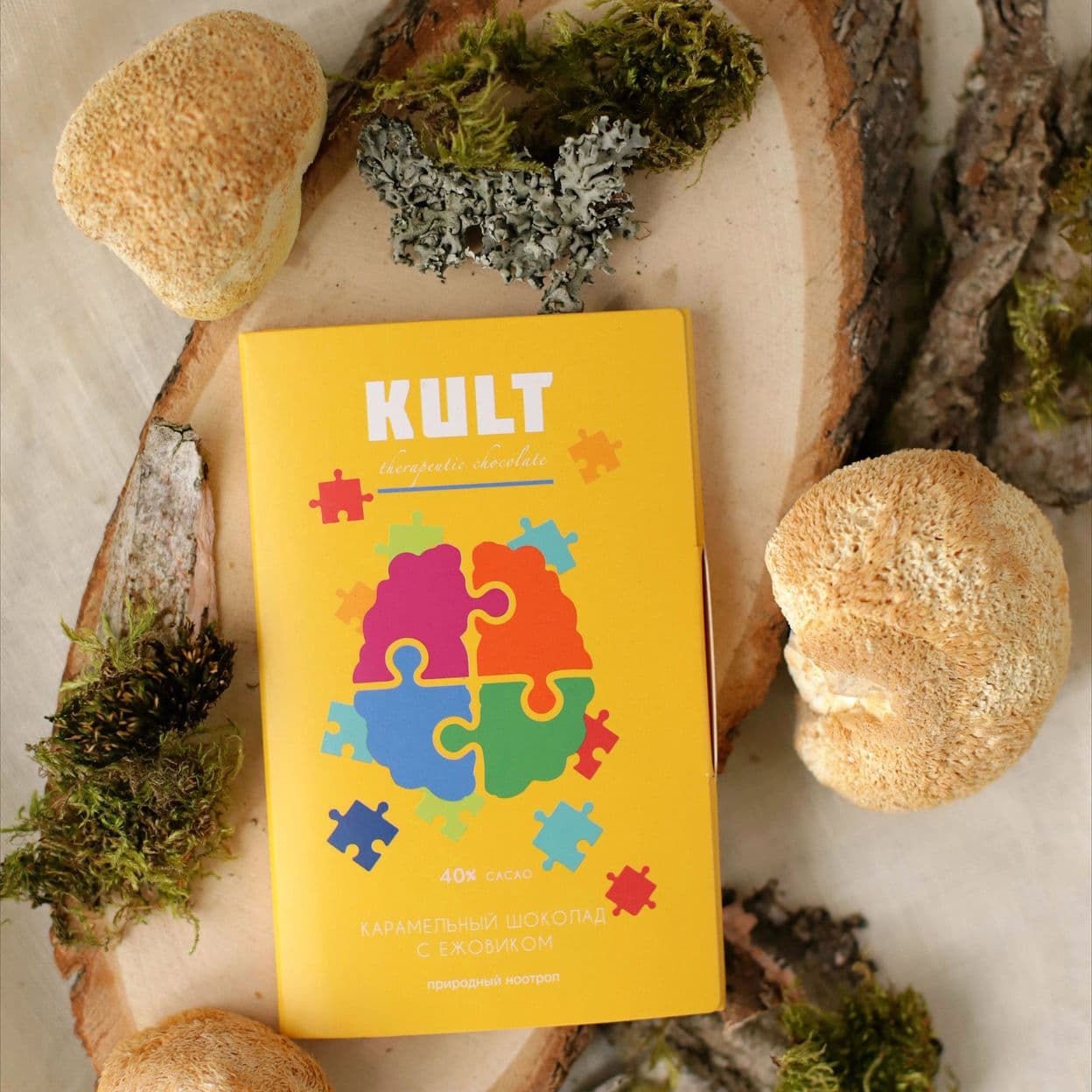 Купить Шоколад карамельный с ежовиком