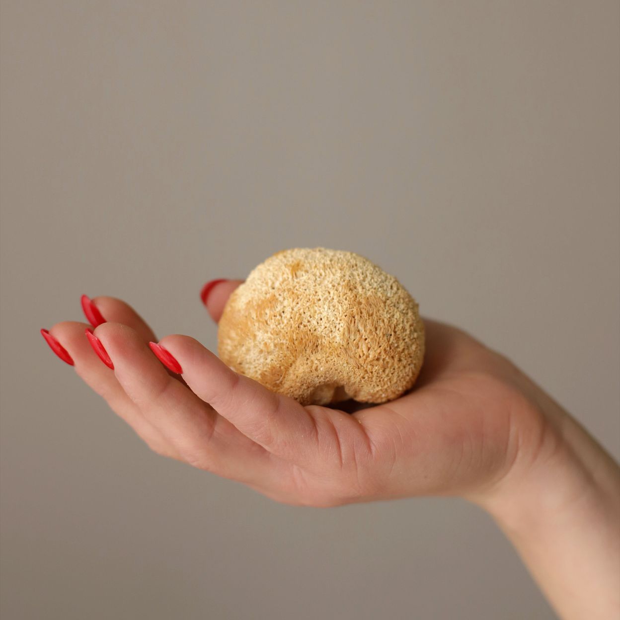 Купить Шоколад карамельный с ежовиком