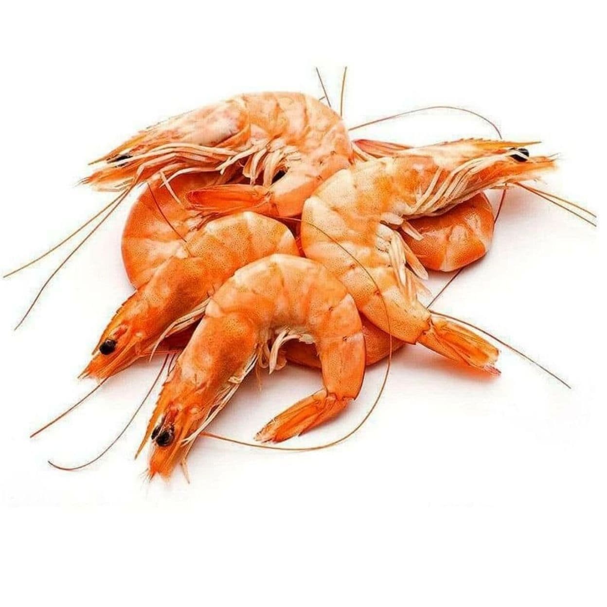 Купить Креветки Королевские варено-мороженые 50/70