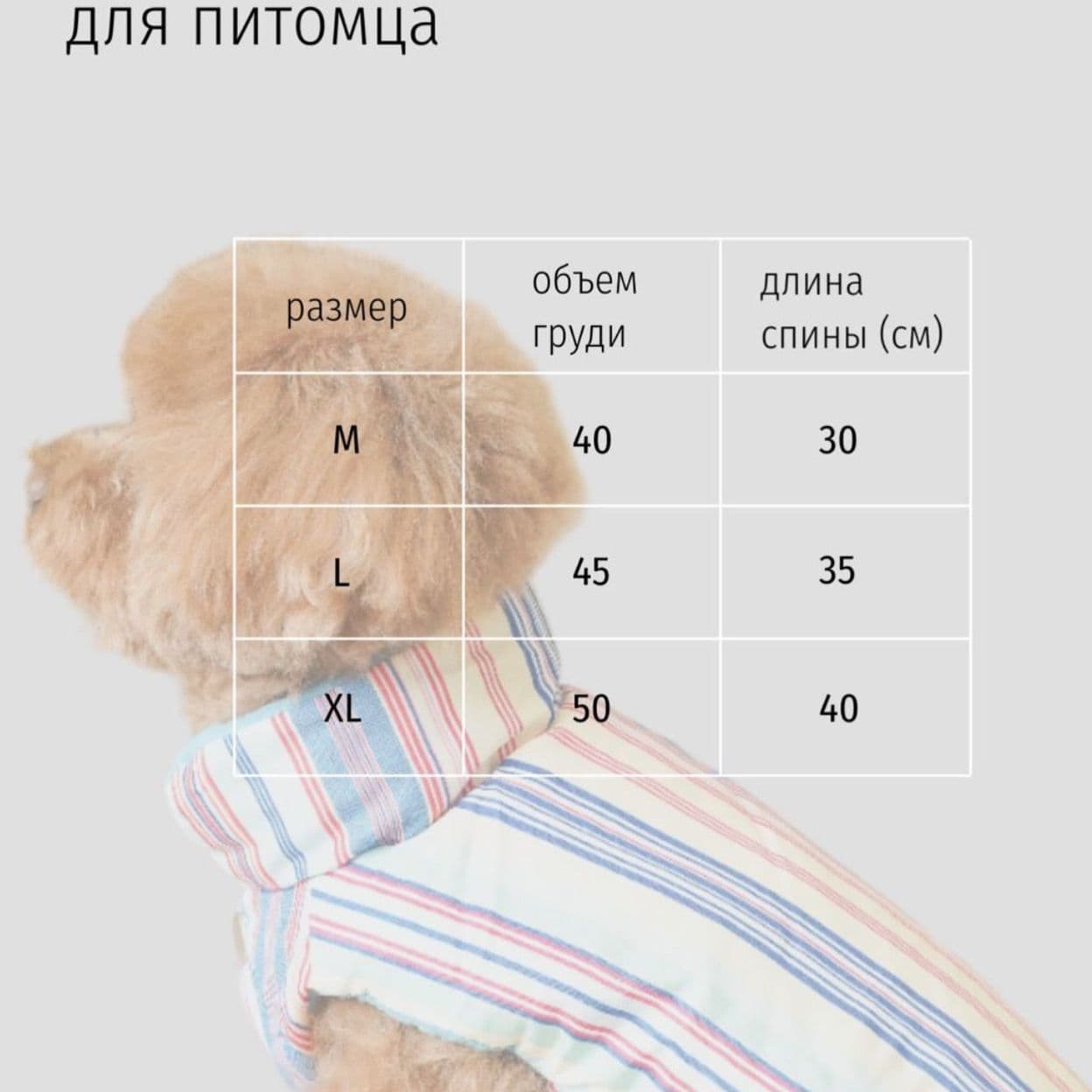 Купить Радужный жилет
