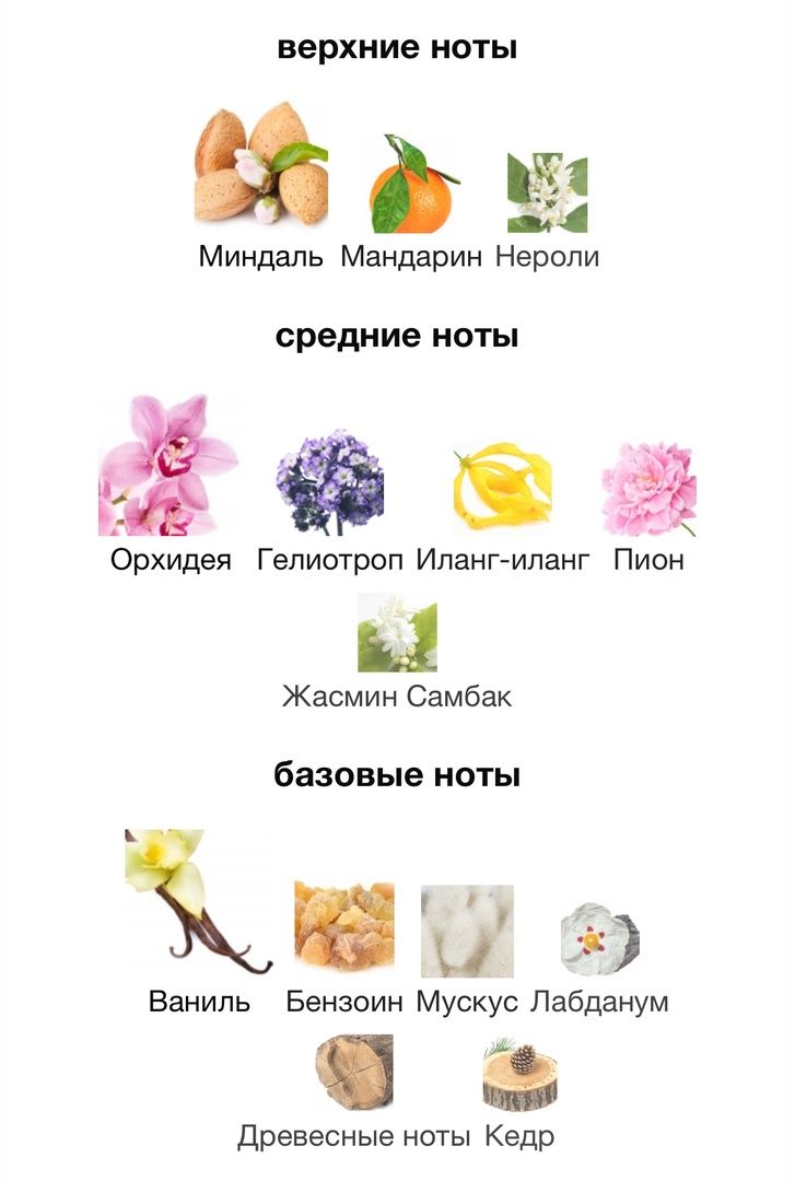 Купить LM Parfums Sensual Orchid