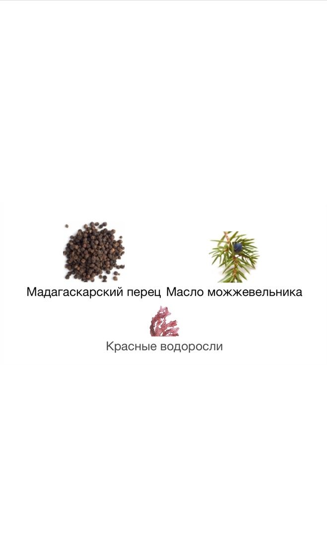 Купить Painter Genyum