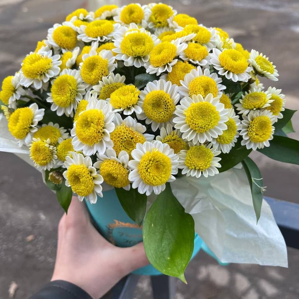 Купить Ромашковое поле 2
