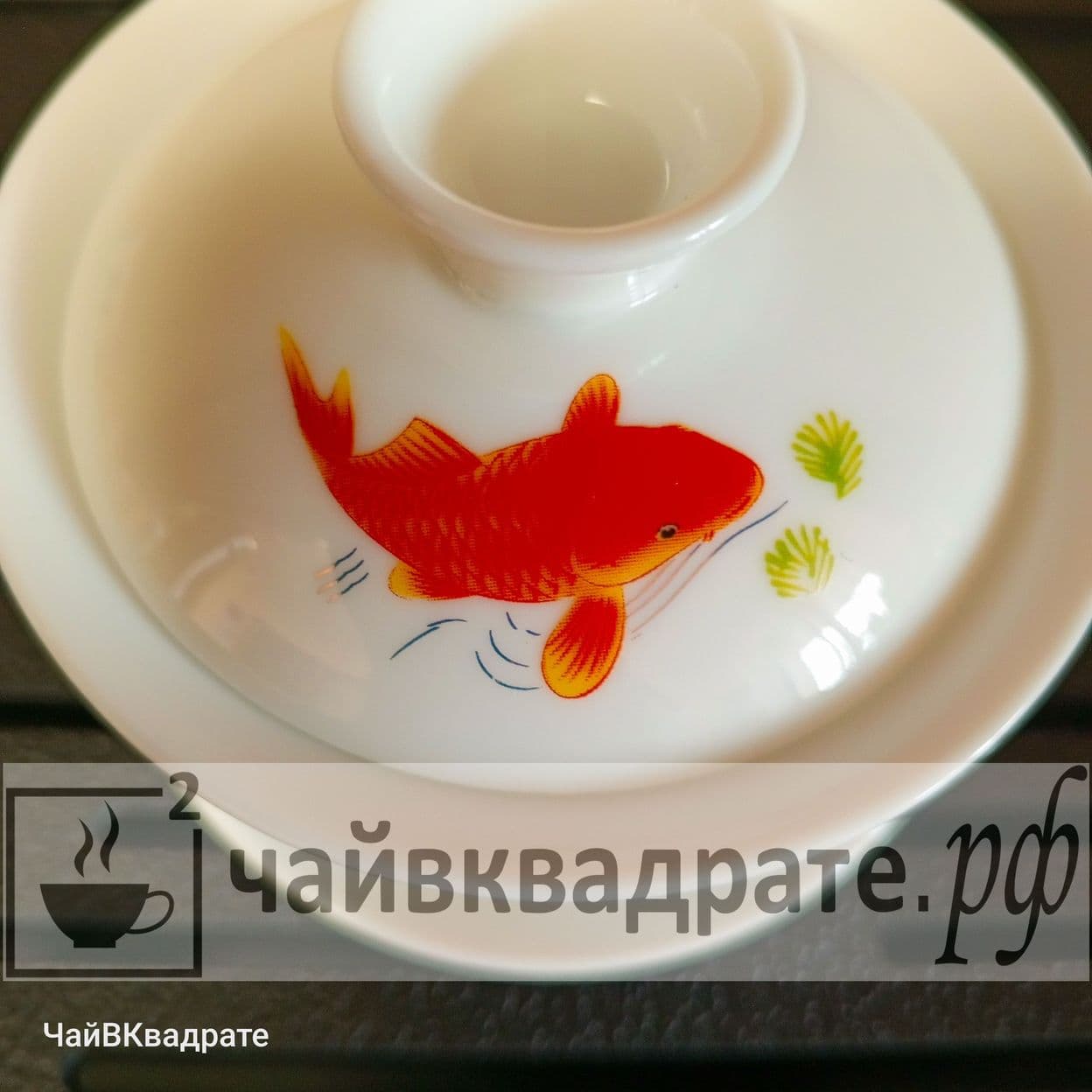 Купить Гайвань "Карп"