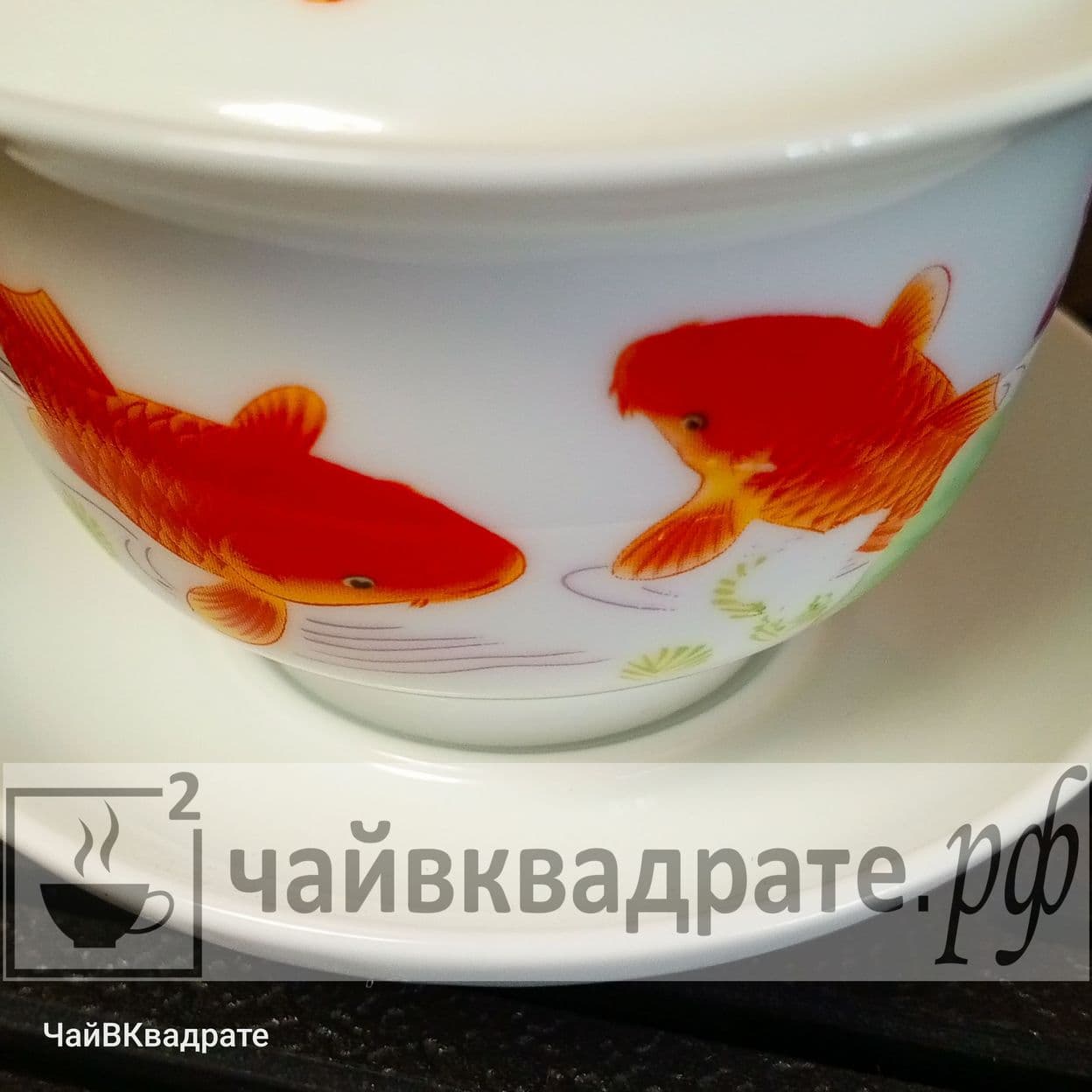 Купить Гайвань "Карп"