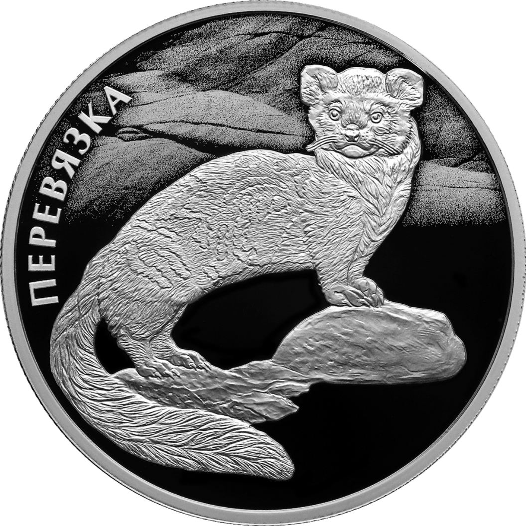 Купить Перевязка / 5110-0186