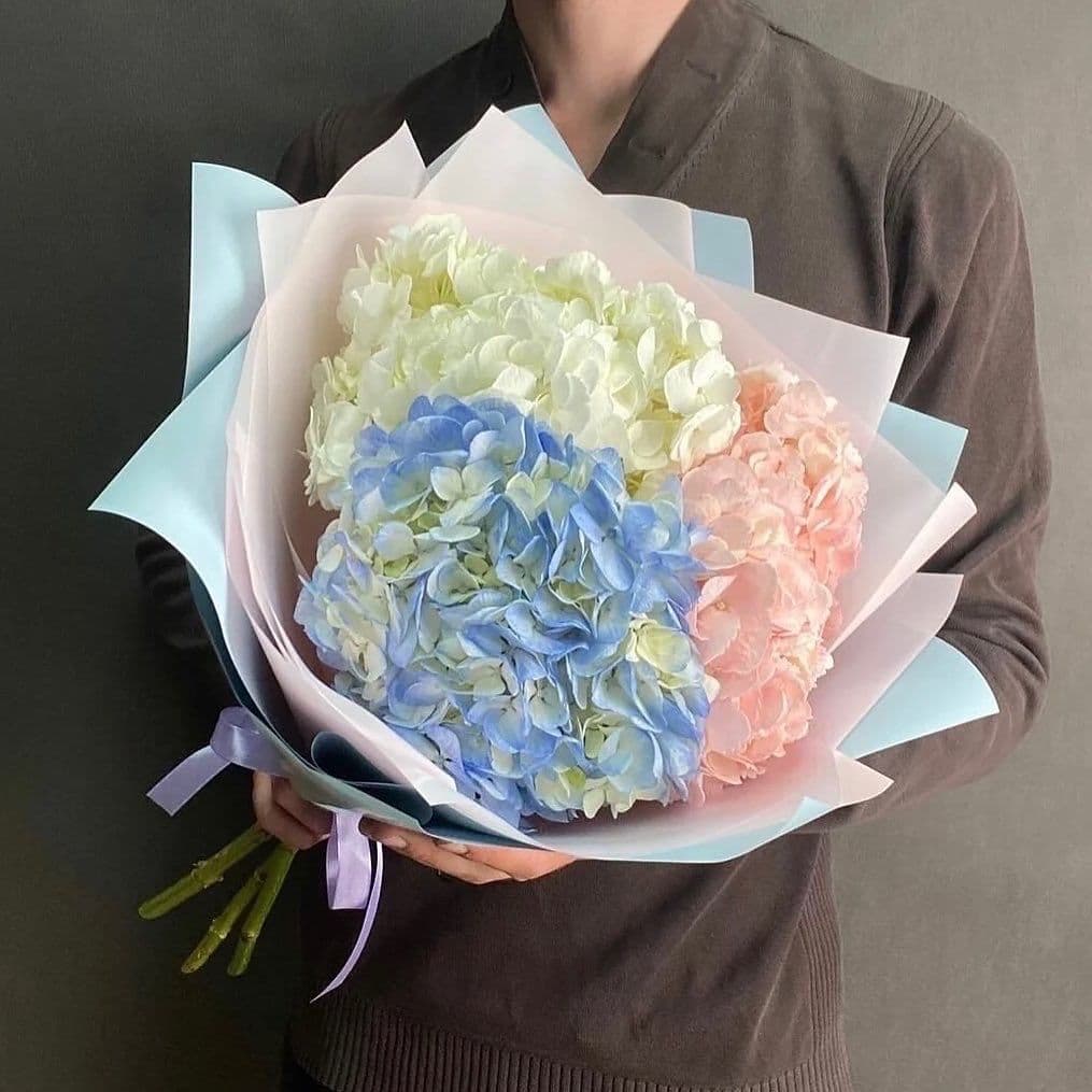 Купить Гортензии