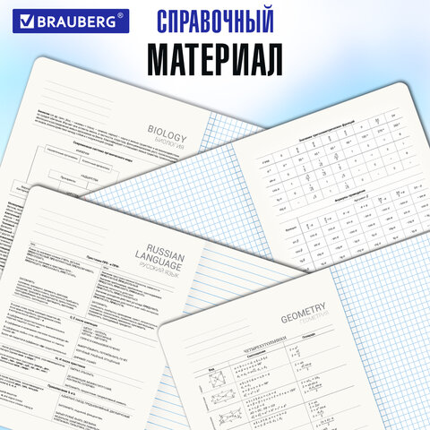 Купить Тетради предметные "КОТ-ЭНТУЗИАСТ", комплект 12 шт., 48 л., BRAUBERG
