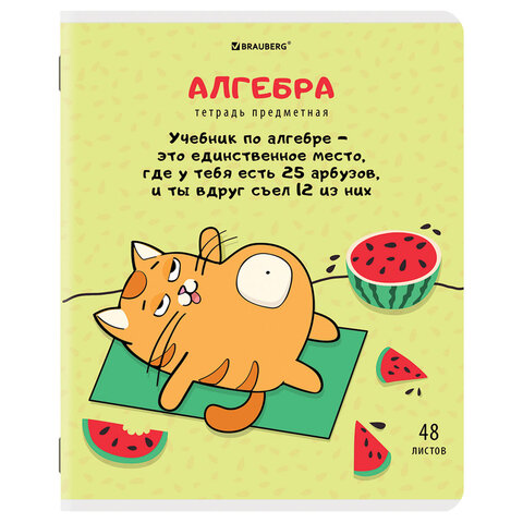 Купить Тетради предметные "КОТ-ЭНТУЗИАСТ", комплект 12 шт., 48 л., BRAUBERG