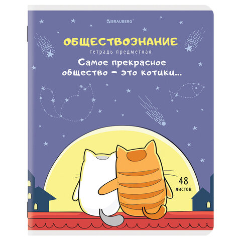Купить Тетради предметные "КОТ-ЭНТУЗИАСТ", комплект 12 шт., 48 л., BRAUBERG