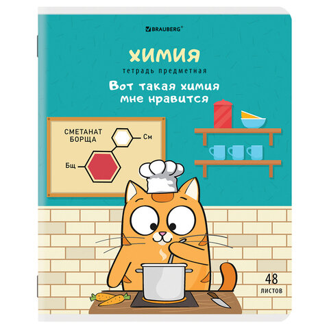 Купить Тетради предметные "КОТ-ЭНТУЗИАСТ", комплект 12 шт., 48 л., BRAUBERG