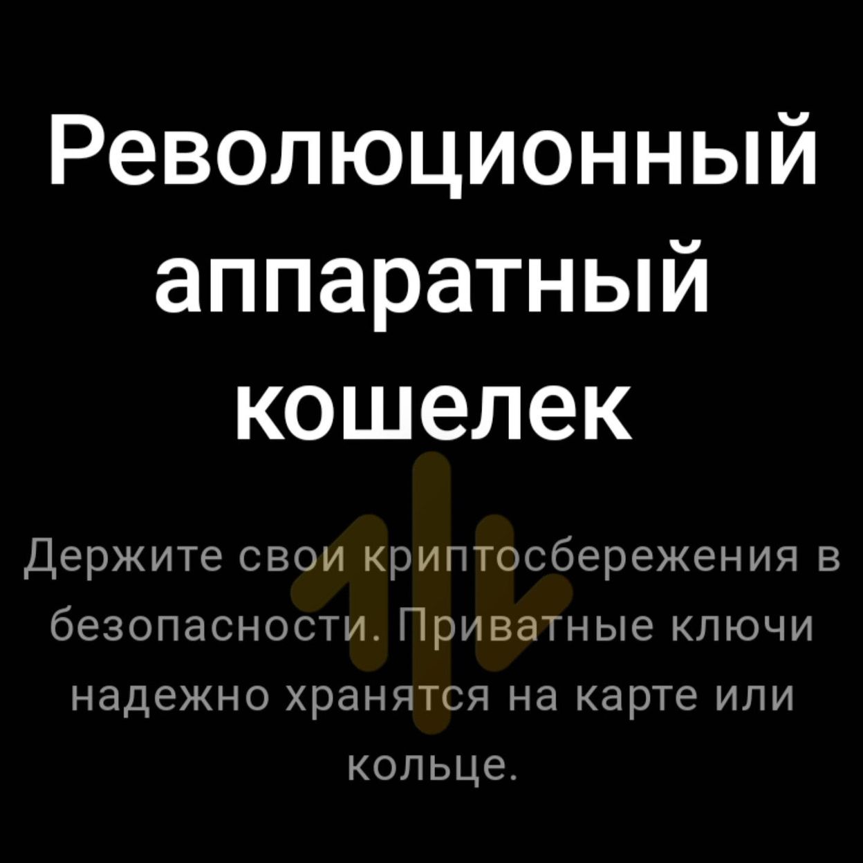 Купить BIZZAN [Hard wallet] Web3.0 Crypto Wallet