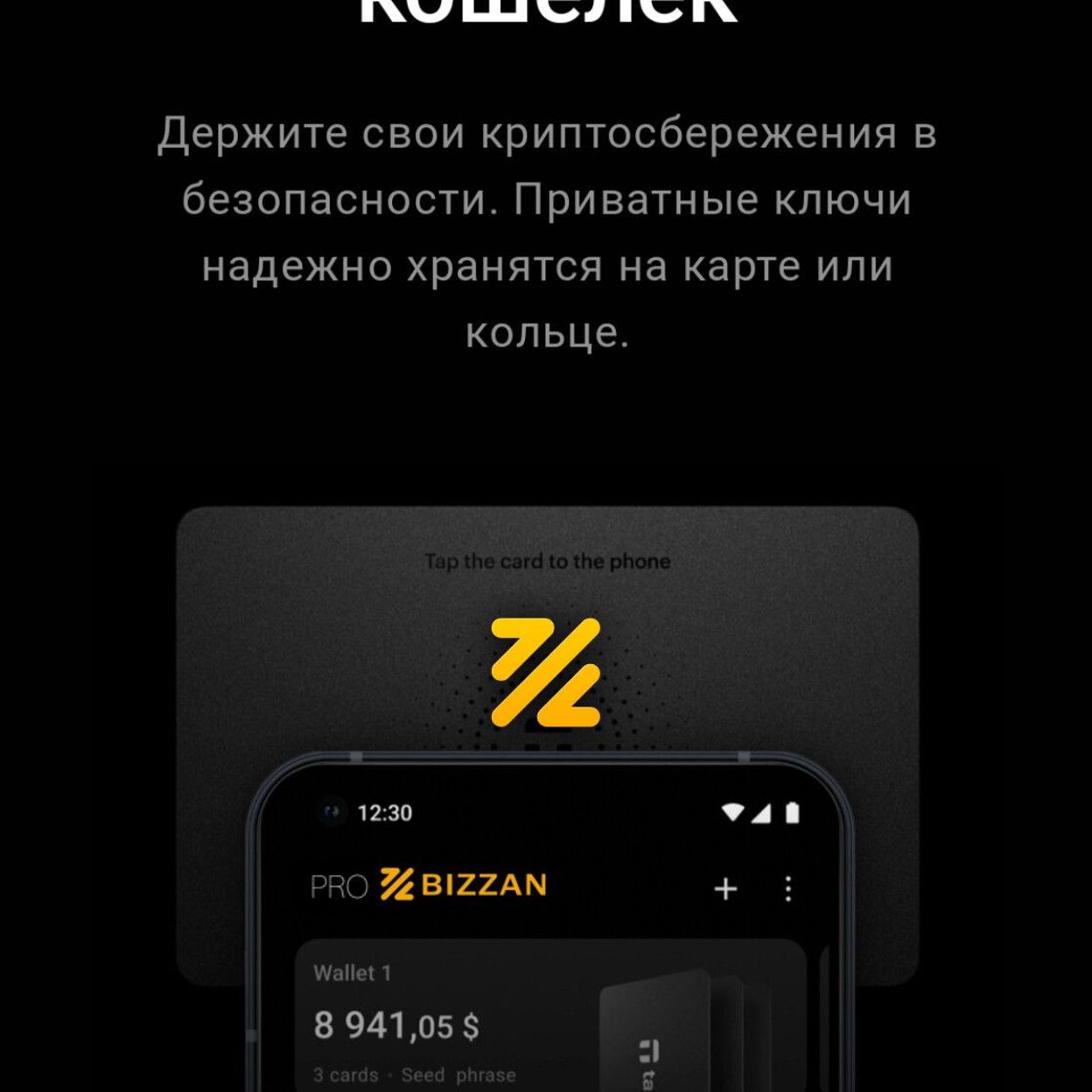 Купить BIZZAN [Hard wallet] Web3.0 Crypto Wallet