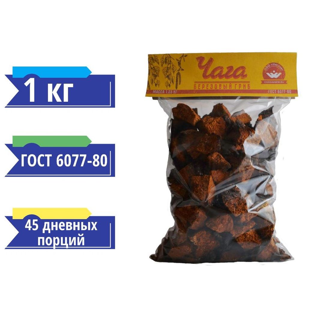 Купить Чага кусковая