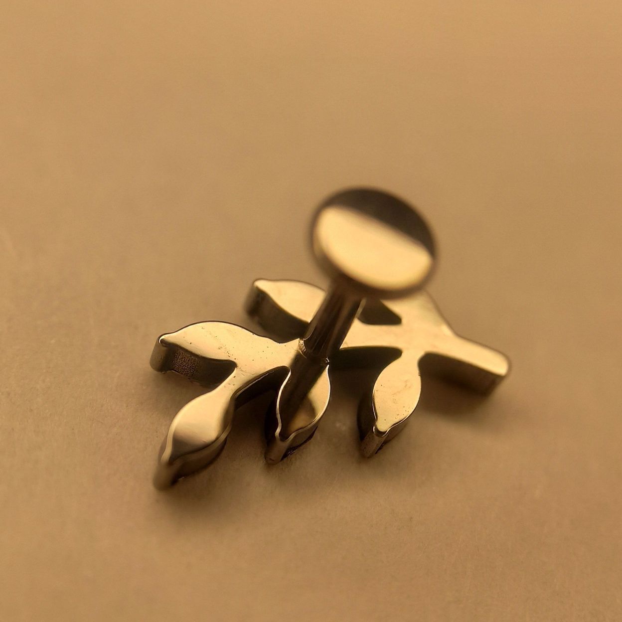 Купить Лавровая ветвь