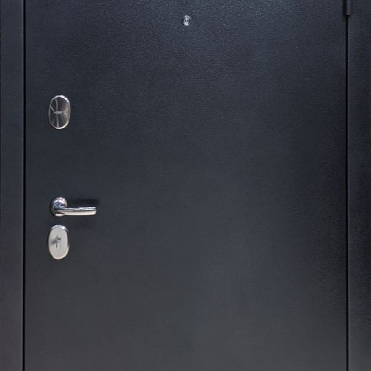 Купить Дверь входная "Триумф" серебро, Витязь