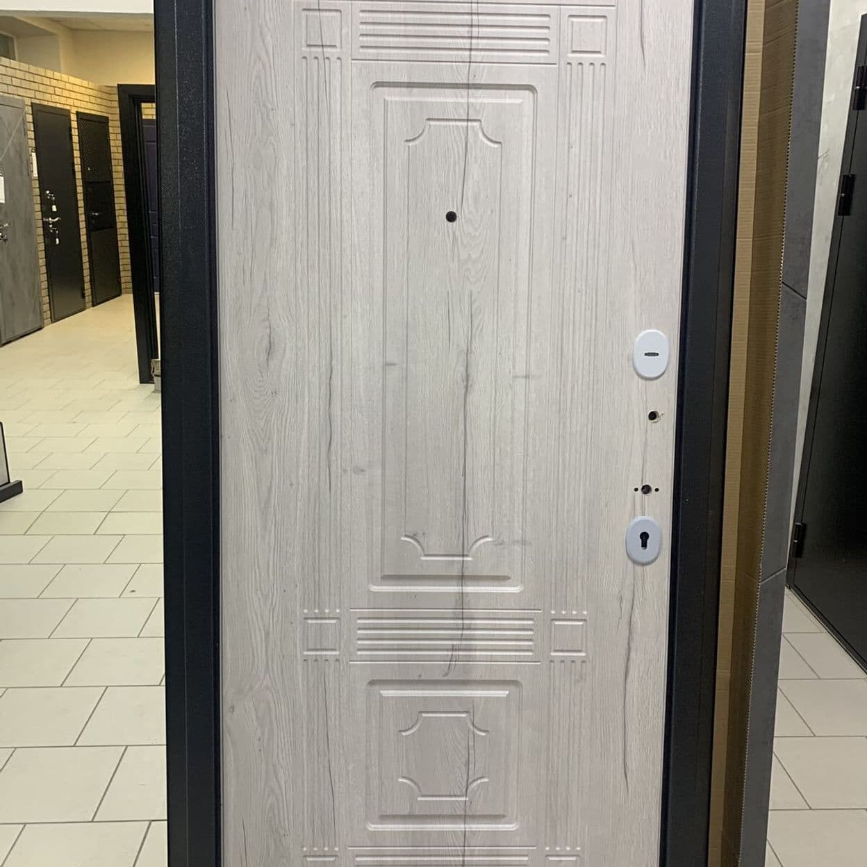 Купить Дверь входная "Триумф" серебро, Витязь