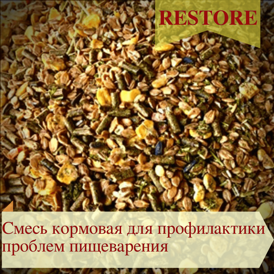 Купить Смесь кормовая для профилактики проблем пищеварения GOLD LINE "RESTOR”, мюсли, 20кг