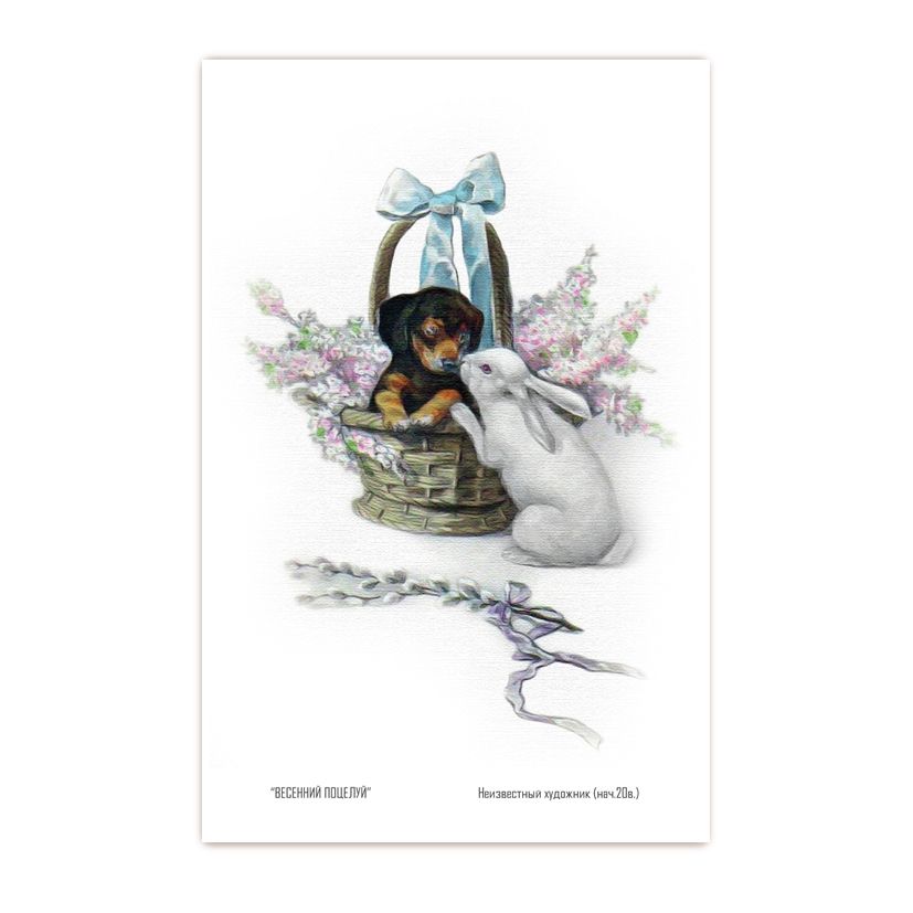 Купить Коллекционная открытка из серии "Щенки" и "Поздравления"