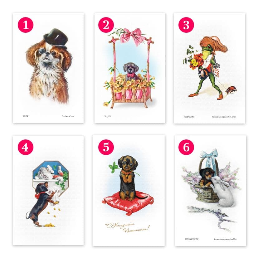 Купить Коллекционная открытка из серии "Щенки" и "Поздравления"