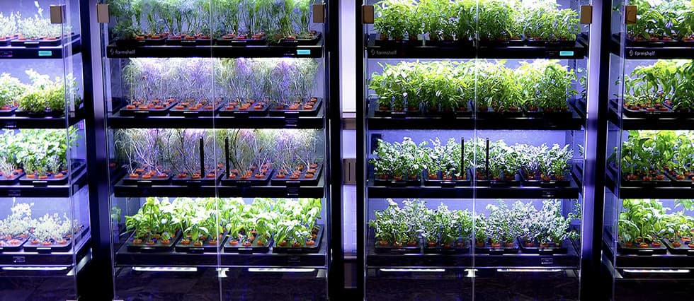Купить Умная полка-витрина для выращивания зелени Greenbar dubl -5-300