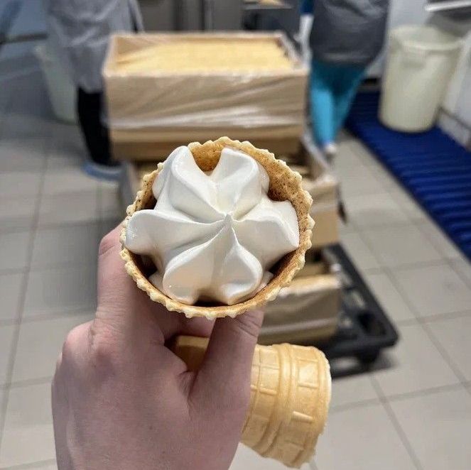 Купить Экскурсия на фабрику мороженого