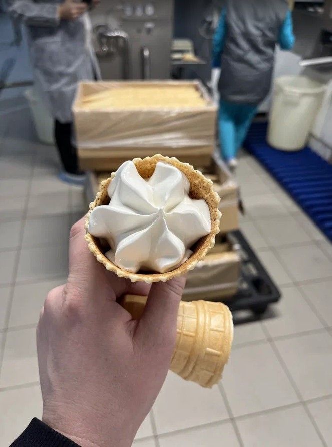 Купить Экскурсия на хладокомбинат